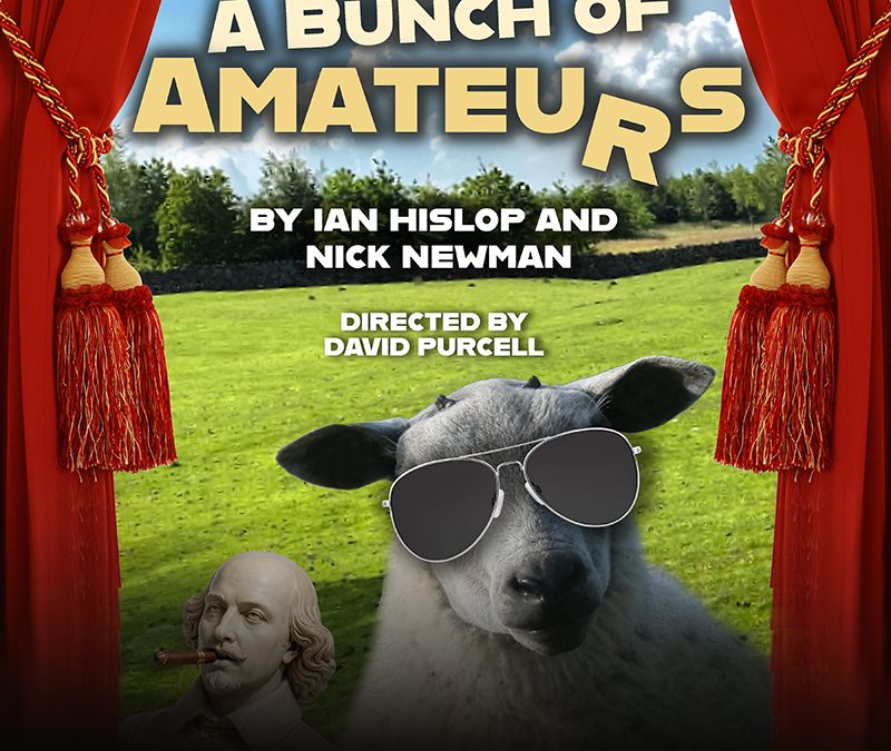 A BUNCH OF AMATEURS
