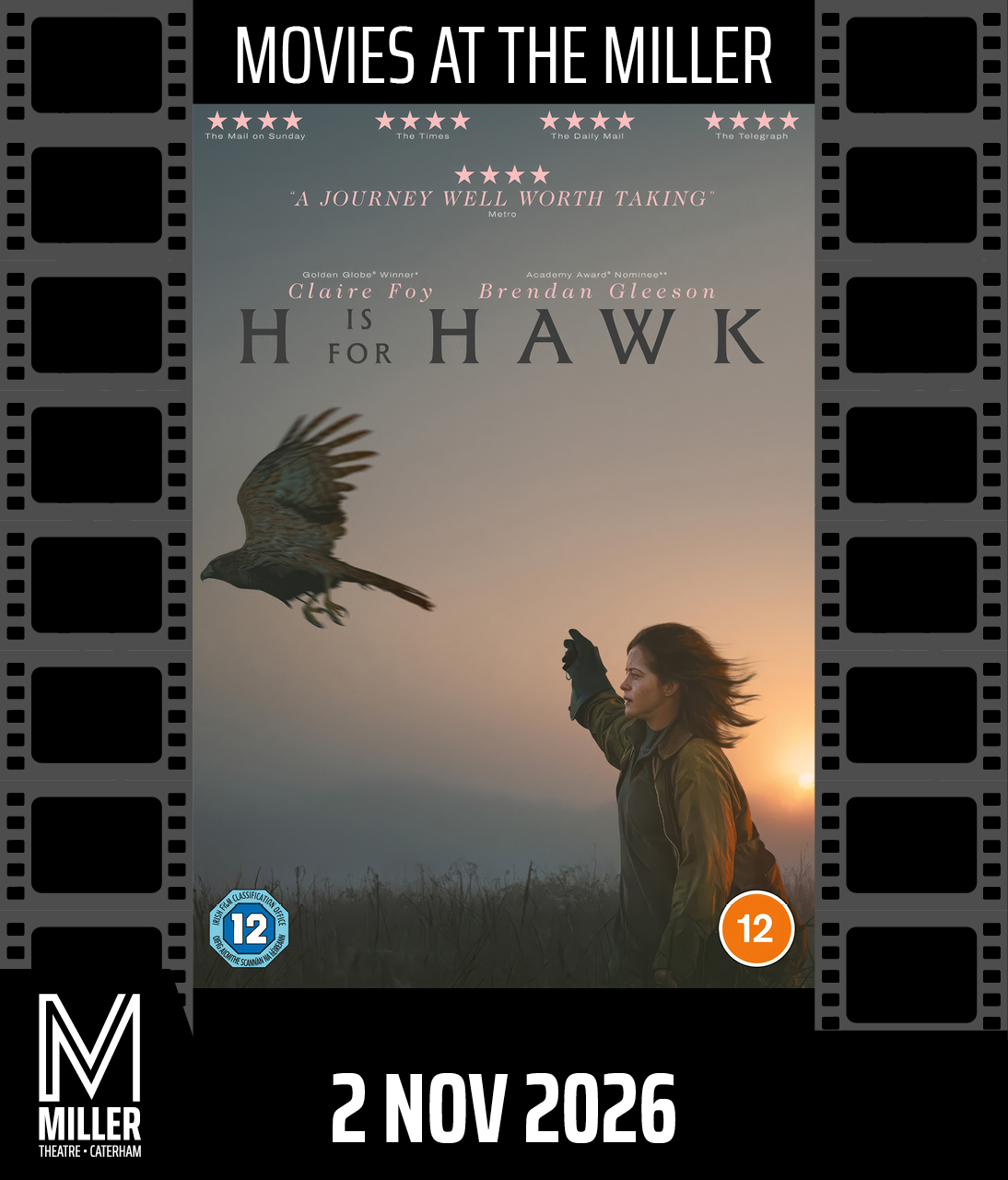 H IS FOR HAWK